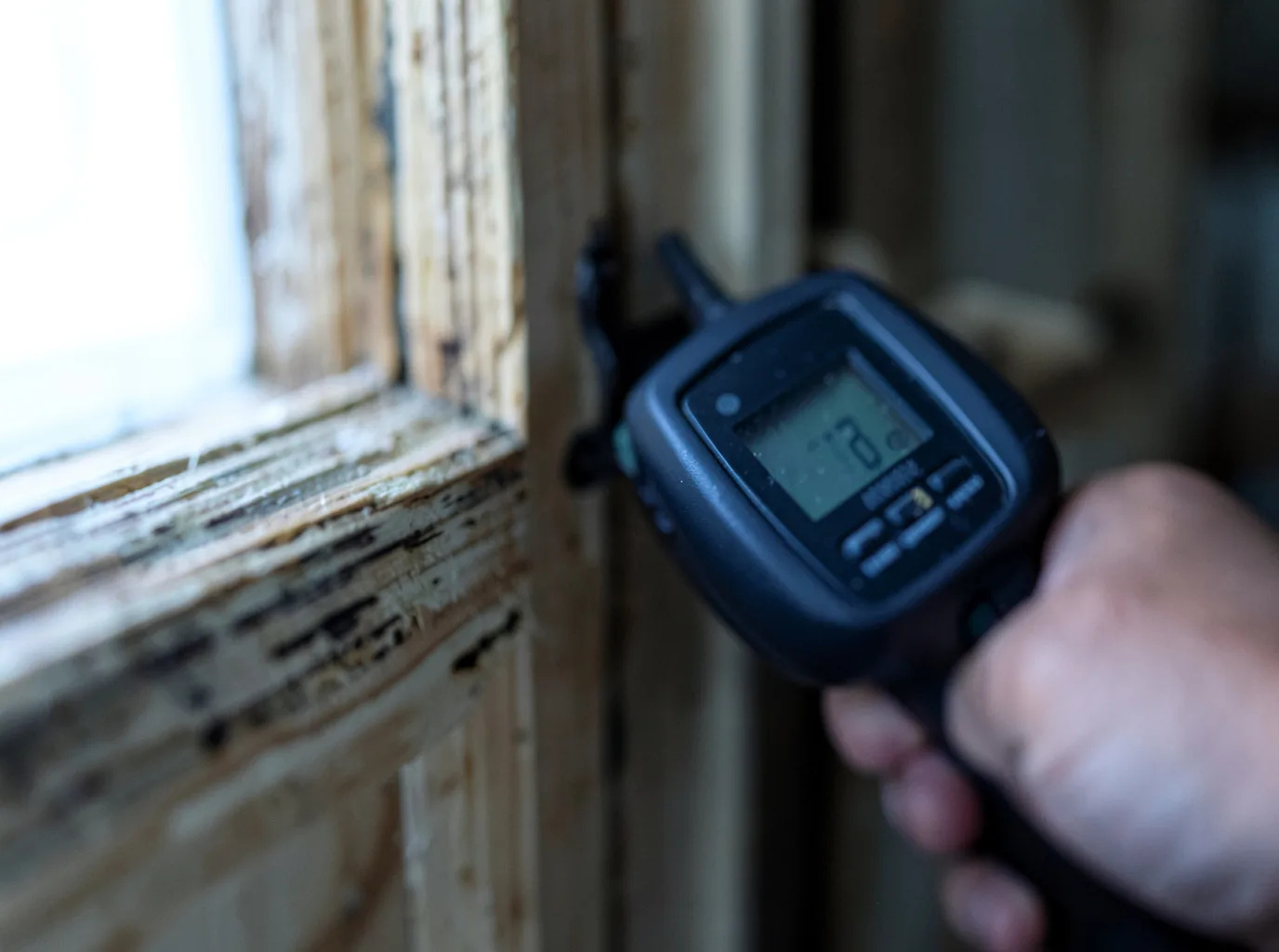 Moisture Inspection And Documentation in Hillsborough, NJ
